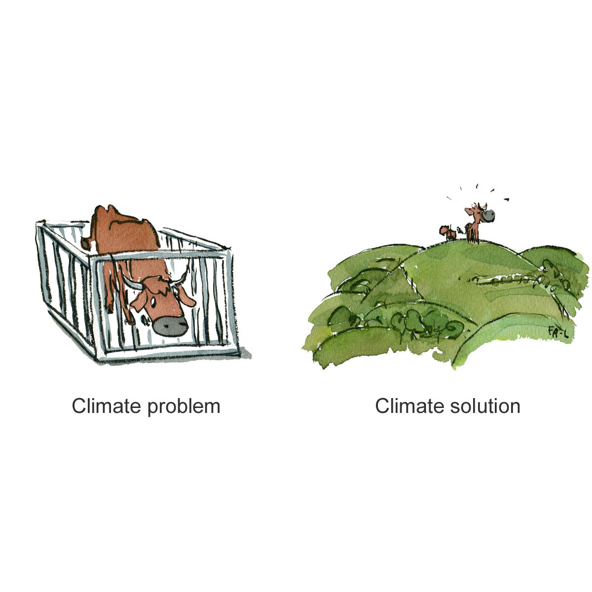 Drawing of cow locked up, and alternative drawing of cows in an open landscape. Illustration by Frits Ahlefeldt