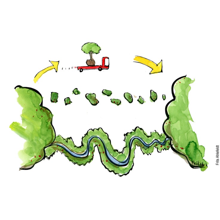 Drawing of two green areas with a truck with a tree in between. and stepping stones and green corridor. Biodiversity illustration by Frits Ahlefeldt - Drawn journalism