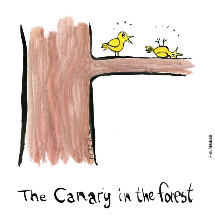 Drawing of a tree with a yellow canary bird alive and dead. Biodiversity illustration by Frits Ahlefeldt - Drawn journalism