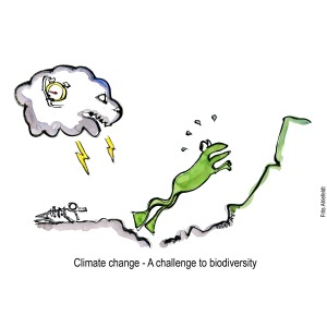 Drawing of frog that jumps away from angry cloud Biodiversity illustration by Frits Ahlefeldt - Drawn journalism